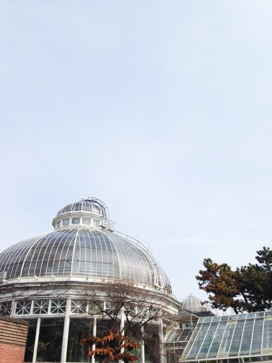 20140328-083026.jpg