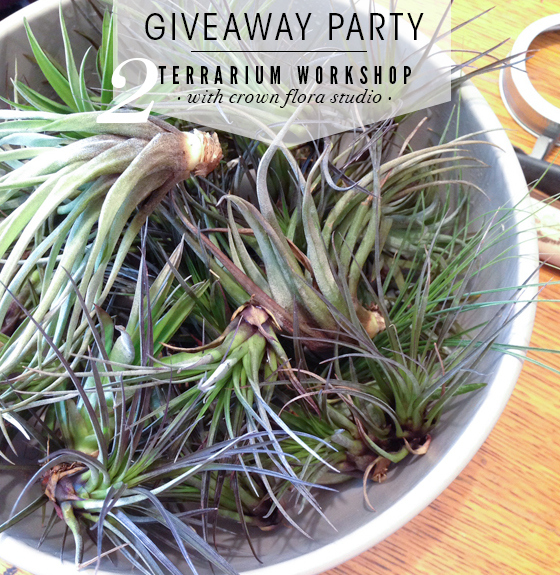 CROWN FLORA GIVEAWAY / tahsin, the good.