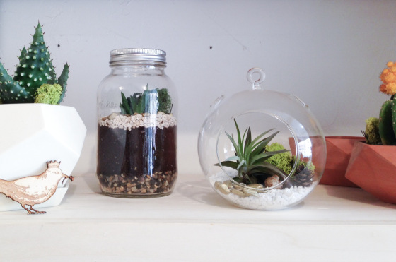 TERRARIUMS / tahsin, the good
